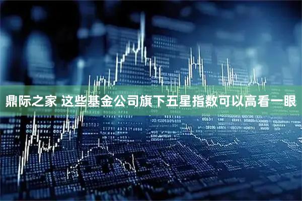 鼎际之家 这些基金公司旗下五星指数可以高看一眼