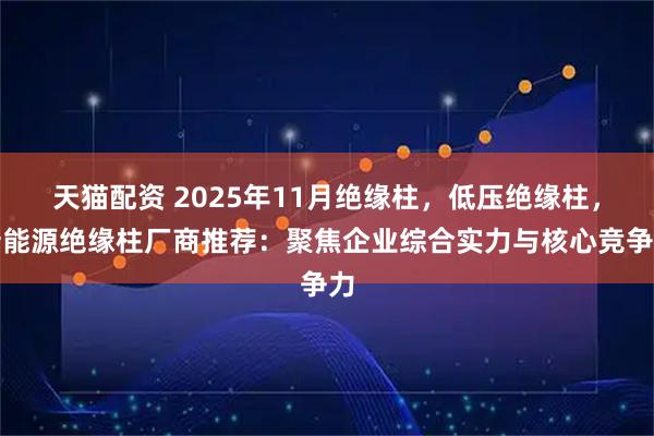 天猫配资 2025年11月绝缘柱,低压绝缘柱,新能源绝缘柱厂商推荐:聚焦企业综合实力与核心竞争力