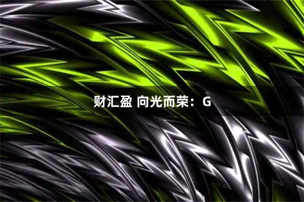财汇盈 向光而荣:G