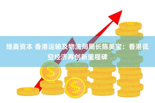 维嘉资本 香港运输及物流局局长陈美宝：香港低空经济再创新里程碑